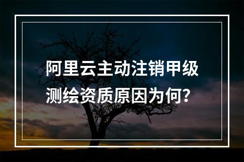 阿里云主动注销甲级测绘资质原因为何？