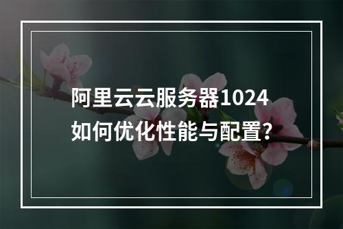 阿里云云服务器1024如何优化性能与配置？