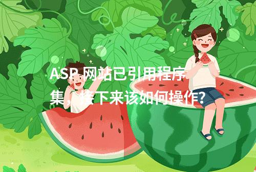 ASP 网站已引用程序集,接下来该如何操作?
