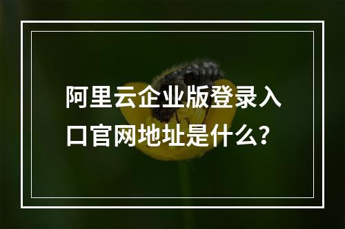 阿里云企业版登录入口官网地址是什么？