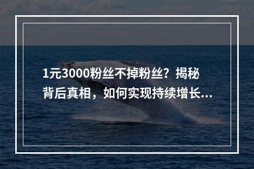 1元3000粉丝不掉粉丝?揭秘背后真相,如何实现持续增长!