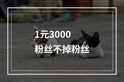 1元3000粉丝不掉粉丝