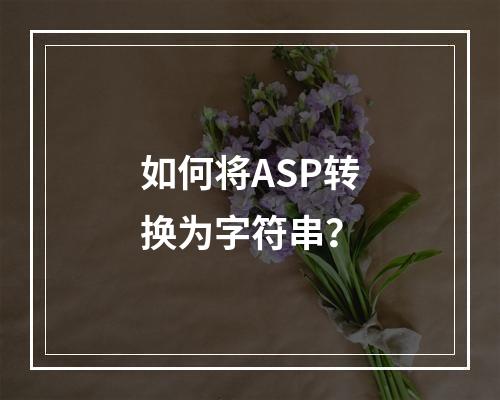 如何将ASP转换为字符串?