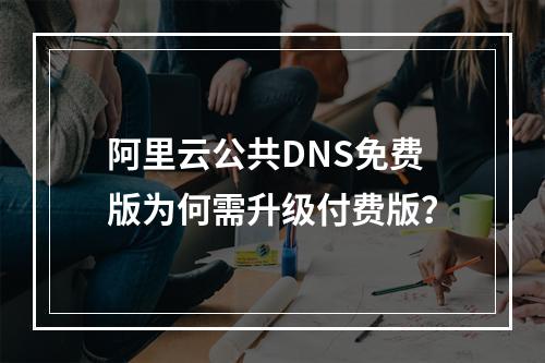 阿里云公共DNS免费版为何需升级付费版？