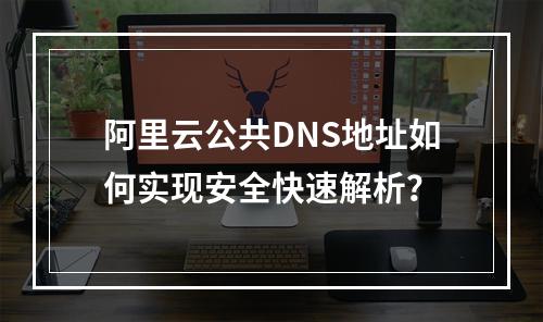阿里云公共DNS地址如何实现安全快速解析？