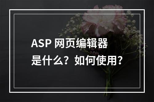 ASP 网页编辑器是什么?如何使用?