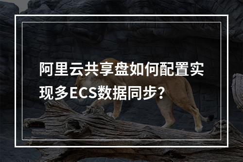 阿里云共享盘如何配置实现多ECS数据同步？
