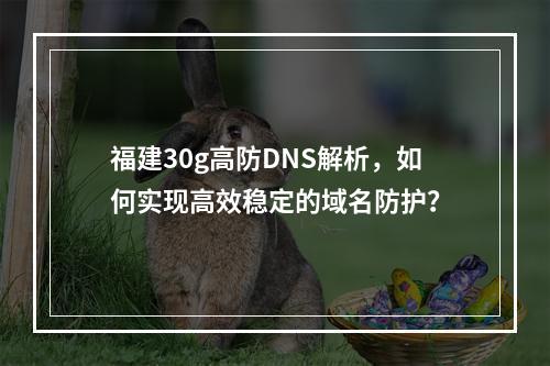福建30g高防DNS解析,如何实现高效稳定的域名防护?
