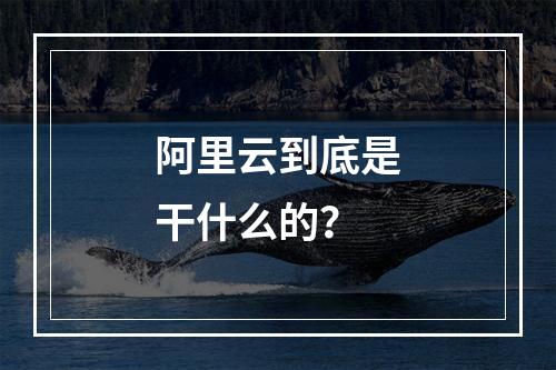 阿里云到底是干什么的？