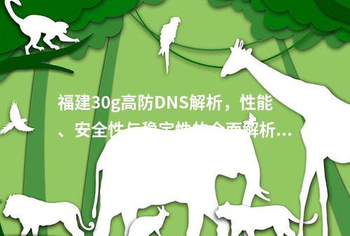 福建30g高防DNS解析,性能、安全性与稳定性的全面解析,探讨了福建地区30g高防DNS解析服务的性能、安全性和稳定性。文章将详细介绍该服务如何通过高效的解析速