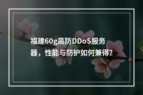 福建60g高防DDoS服务器,性能与防护如何兼得?