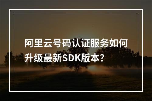 阿里云号码认证服务如何升级最新SDK版本？