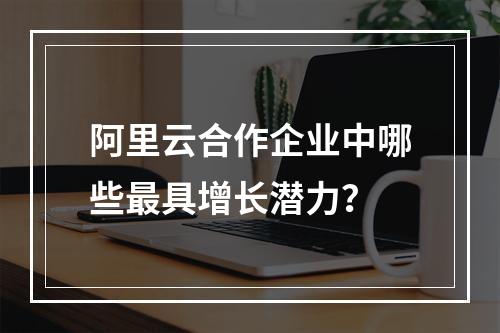 阿里云合作企业中哪些最具增长潜力？