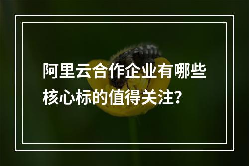 阿里云合作企业有哪些核心标的值得关注？