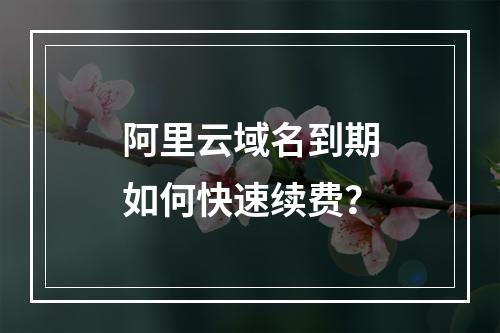 阿里云域名到期如何快速续费？