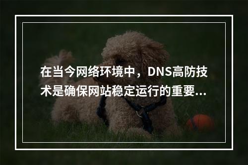 在当今网络环境中,DNS高防技术是确保网站稳定运行的重要手段之一。福建30g高防DNS解析如何清洗?这个问题涉及到网络安全和信息技术的深层次知识,对于非专业人士