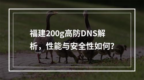 福建200g高防DNS解析,性能与安全性如何?
