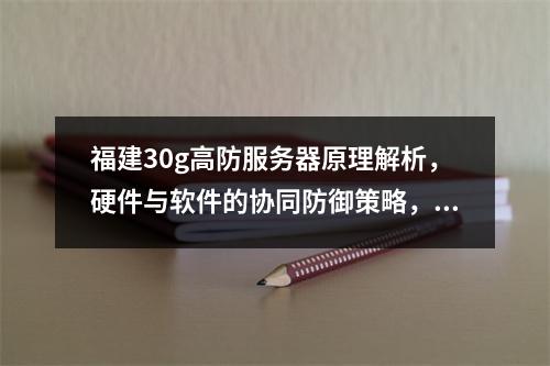福建30g高防服务器原理解析,硬件与软件的协同防御策略,本文深入探讨了福建30g高防服务器的工作原理,揭示了其如何通过结合先进的硬件设备和智能的软件系统,构建起
