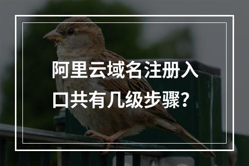 阿里云域名注册入口共有几级步骤？
