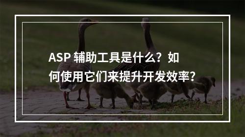 ASP 辅助工具是什么?如何使用它们来提升开发效率?