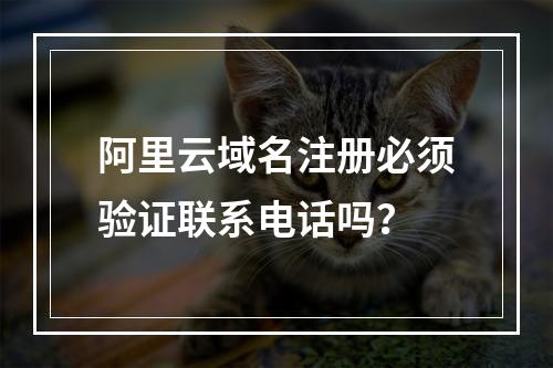 阿里云域名注册必须验证联系电话吗？