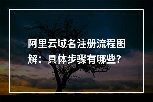 阿里云域名注册流程图解：具体步骤有哪些？