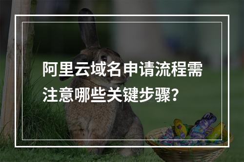阿里云域名申请流程需注意哪些关键步骤？