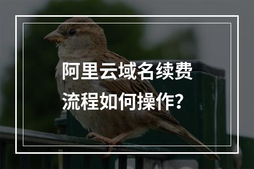 阿里云域名续费流程如何操作？