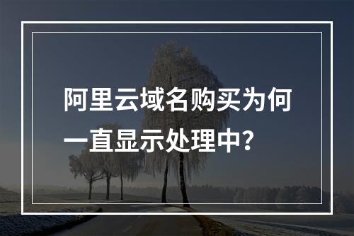 阿里云域名购买为何一直显示处理中？