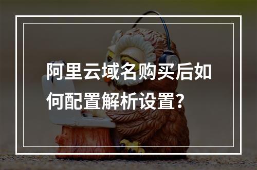阿里云域名购买后如何配置解析设置？