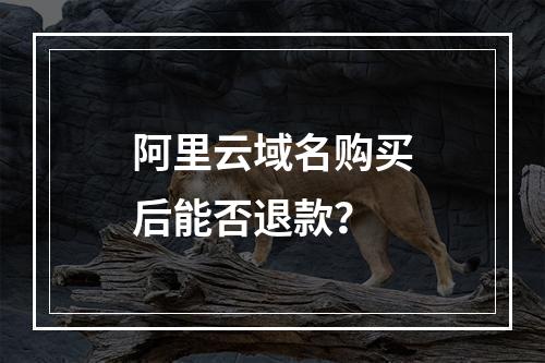 阿里云域名购买后能否退款？