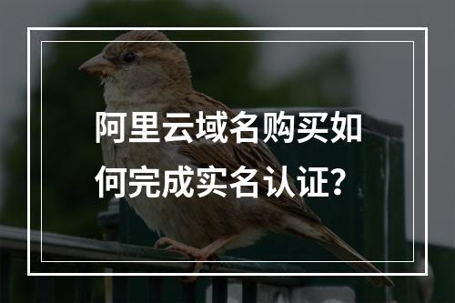 阿里云域名购买如何完成实名认证？