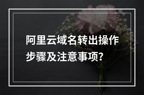 阿里云域名转出操作步骤及注意事项？