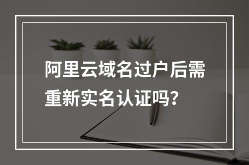 阿里云域名过户后需重新实名认证吗？