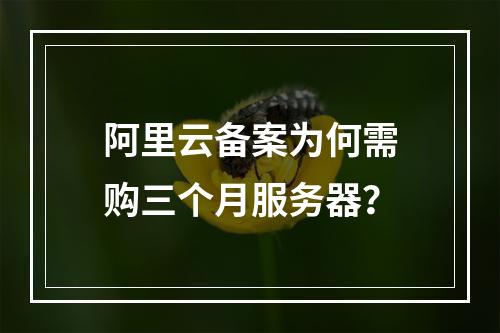 阿里云备案为何需购三个月服务器？