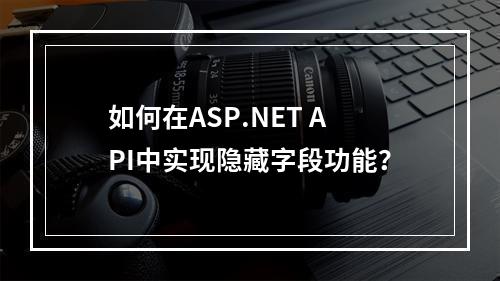 如何在ASP.NET API中实现隐藏字段功能?