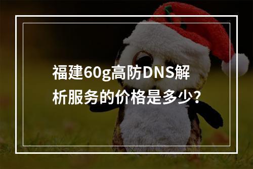 福建60g高防DNS解析服务的价格是多少?