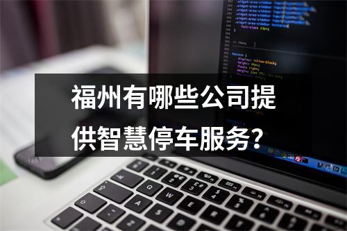 福州有哪些公司提供智慧停车服务?