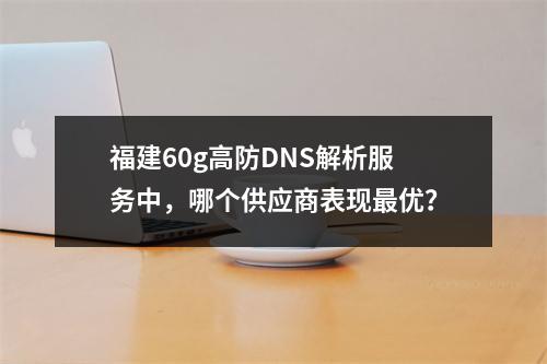 福建60g高防DNS解析服务中,哪个供应商表现最优?