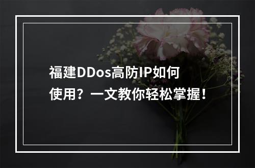 福建DDos高防IP如何使用?一文教你轻松掌握!