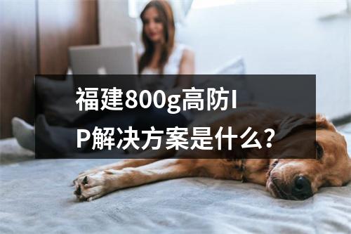 福建800g高防IP解决方案是什么?