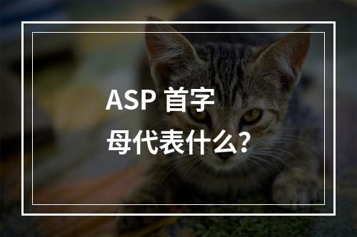 ASP 首字母代表什么?