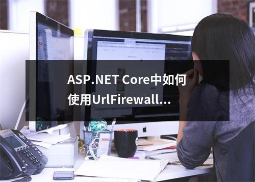ASP.NET Core中如何使用UrlFirewall进行请求过滤?