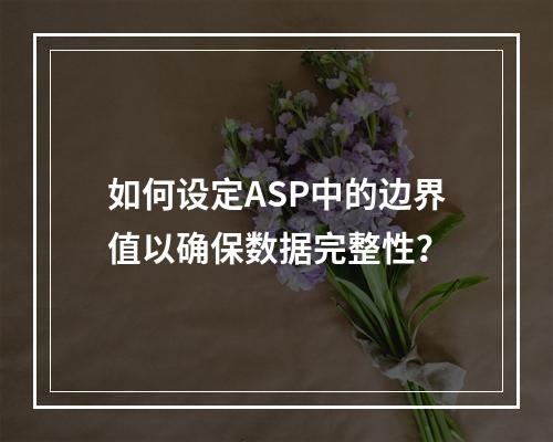 如何设定ASP中的边界值以确保数据完整性?