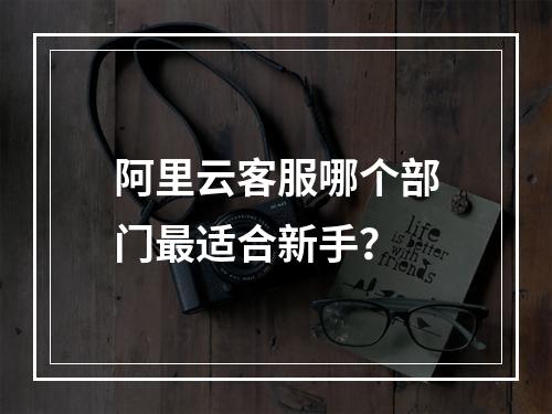 阿里云客服哪个部门最适合新手？
