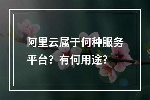 阿里云属于何种服务平台？有何用途？