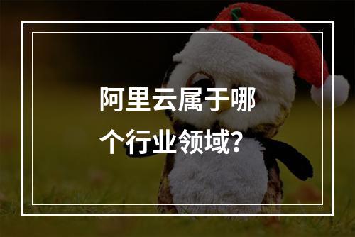 阿里云属于哪个行业领域？