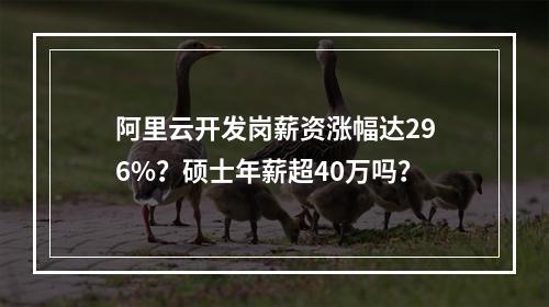 阿里云开发岗薪资涨幅达296%？硕士年薪超40万吗？