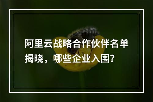 阿里云战略合作伙伴名单揭晓，哪些企业入围？