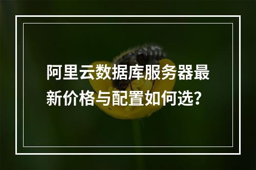 阿里云数据库服务器最新价格与配置如何选？